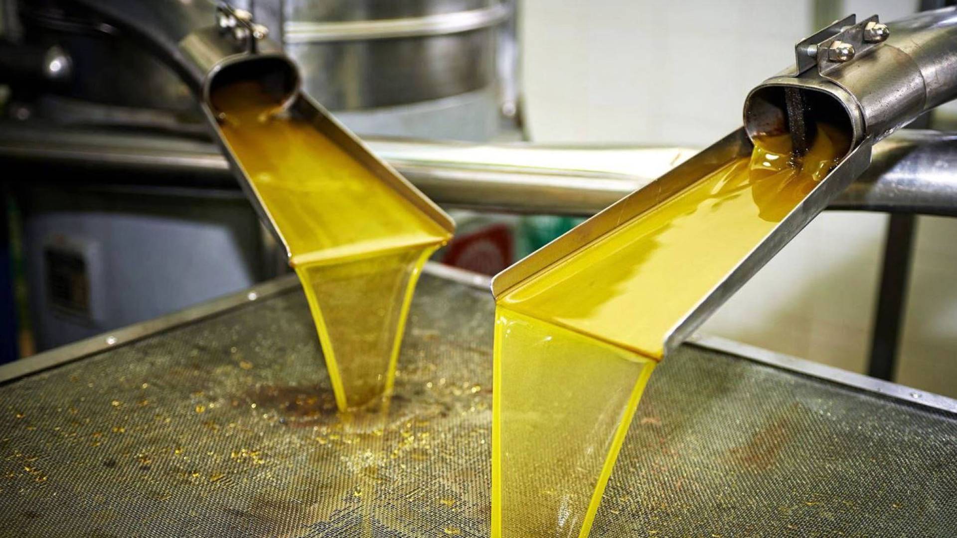 تصنيع زيت الزيتون