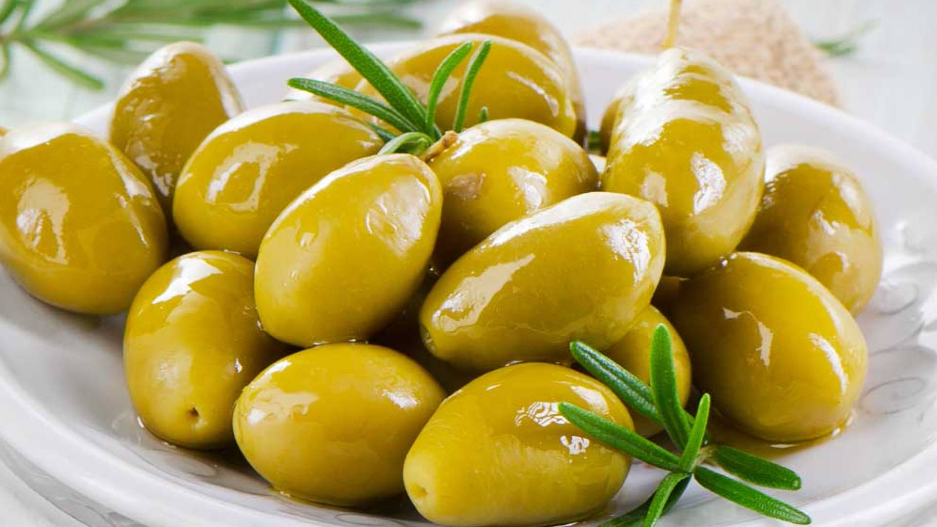 زيتون "أرشيفية"