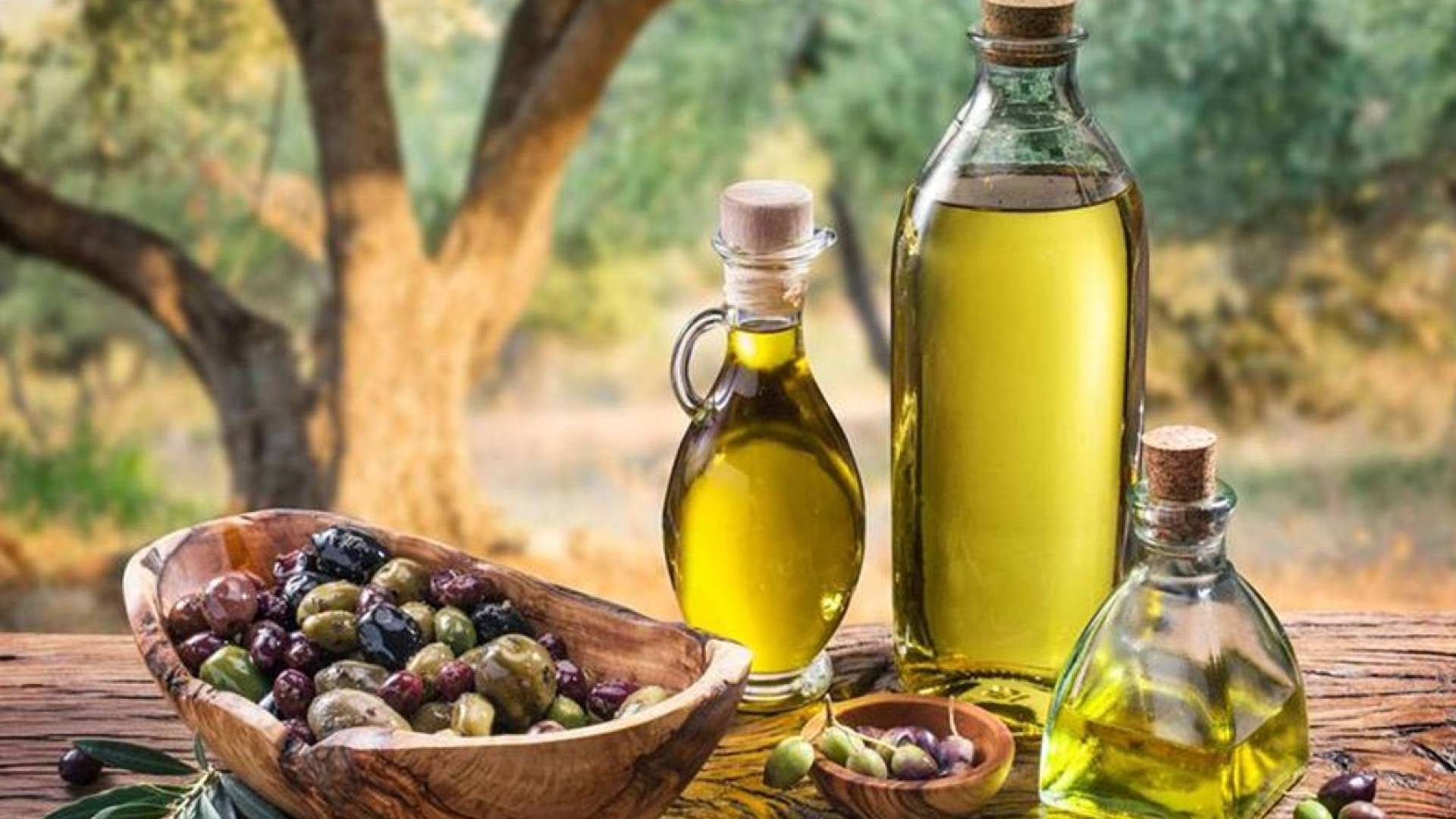 صورة تعبيرية لزيت الزيتون