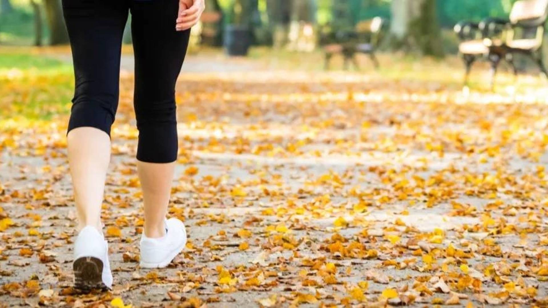 المشي - تعبيرية