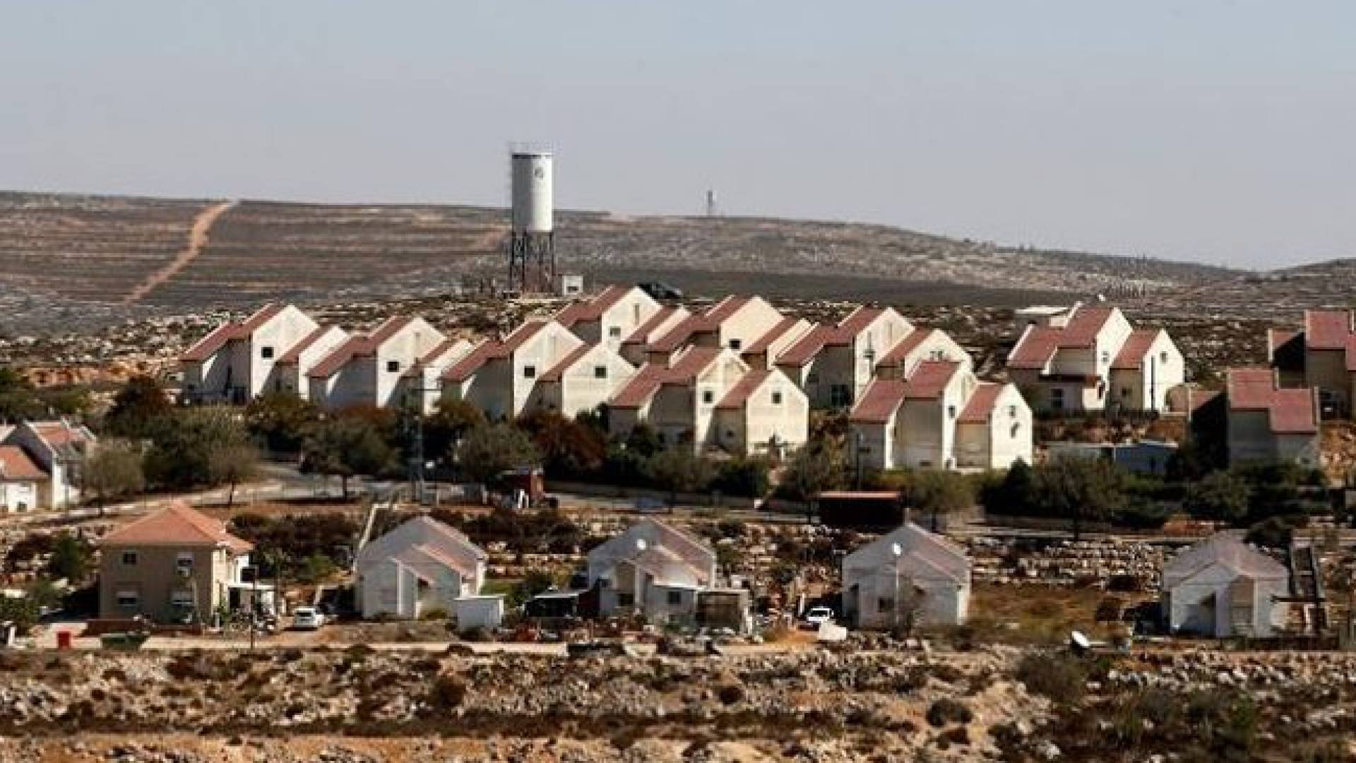 مستعمرات للاحتلال