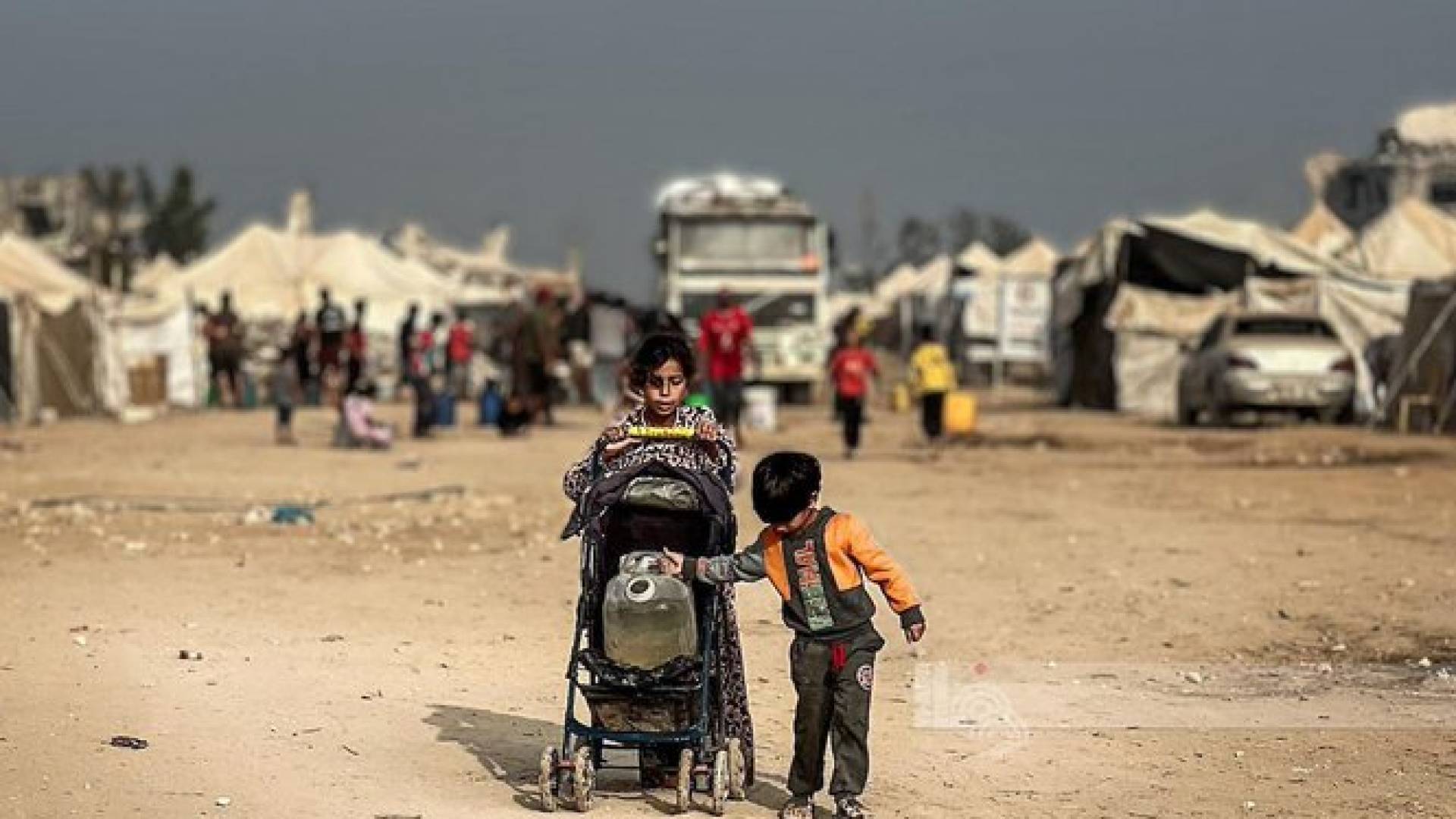 أطفال من قطاع غزة