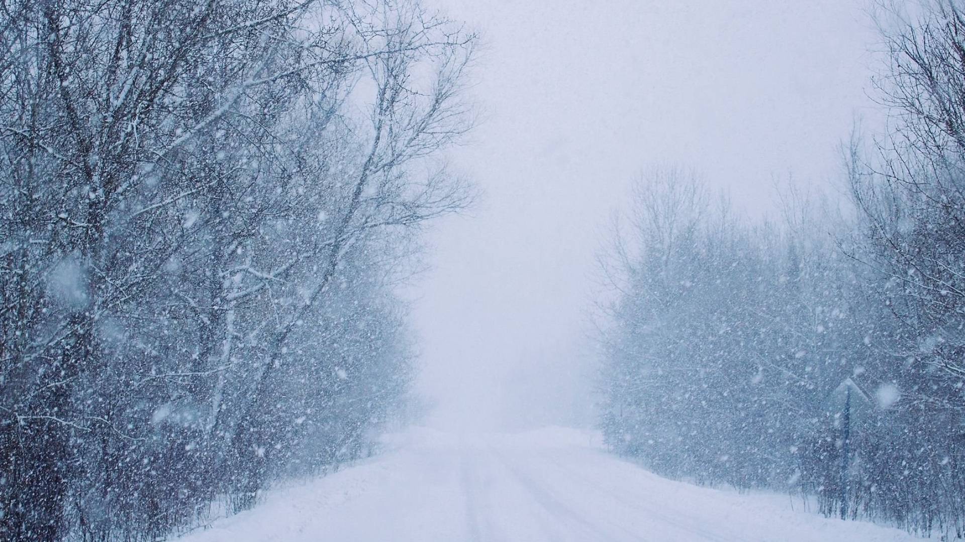 عاصفة ثلجية