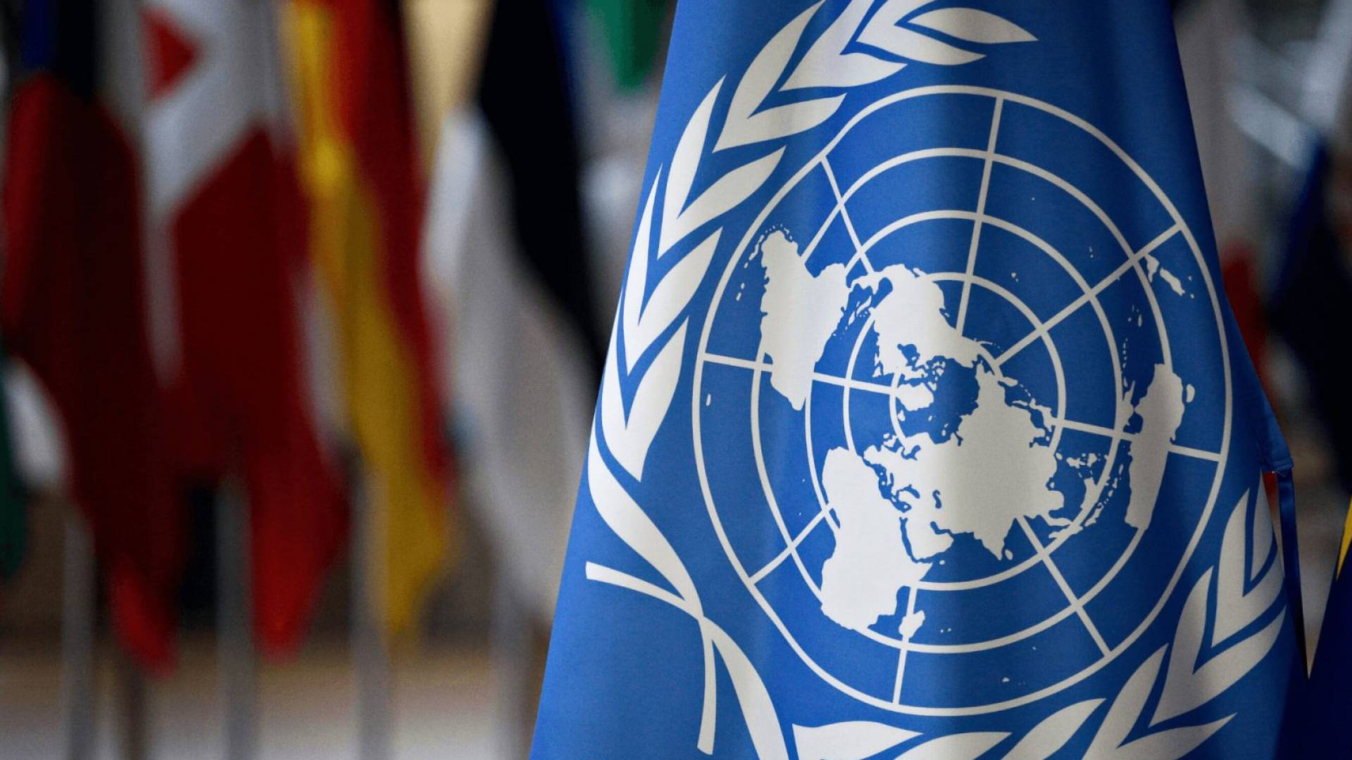 شعار الامم المتحدة