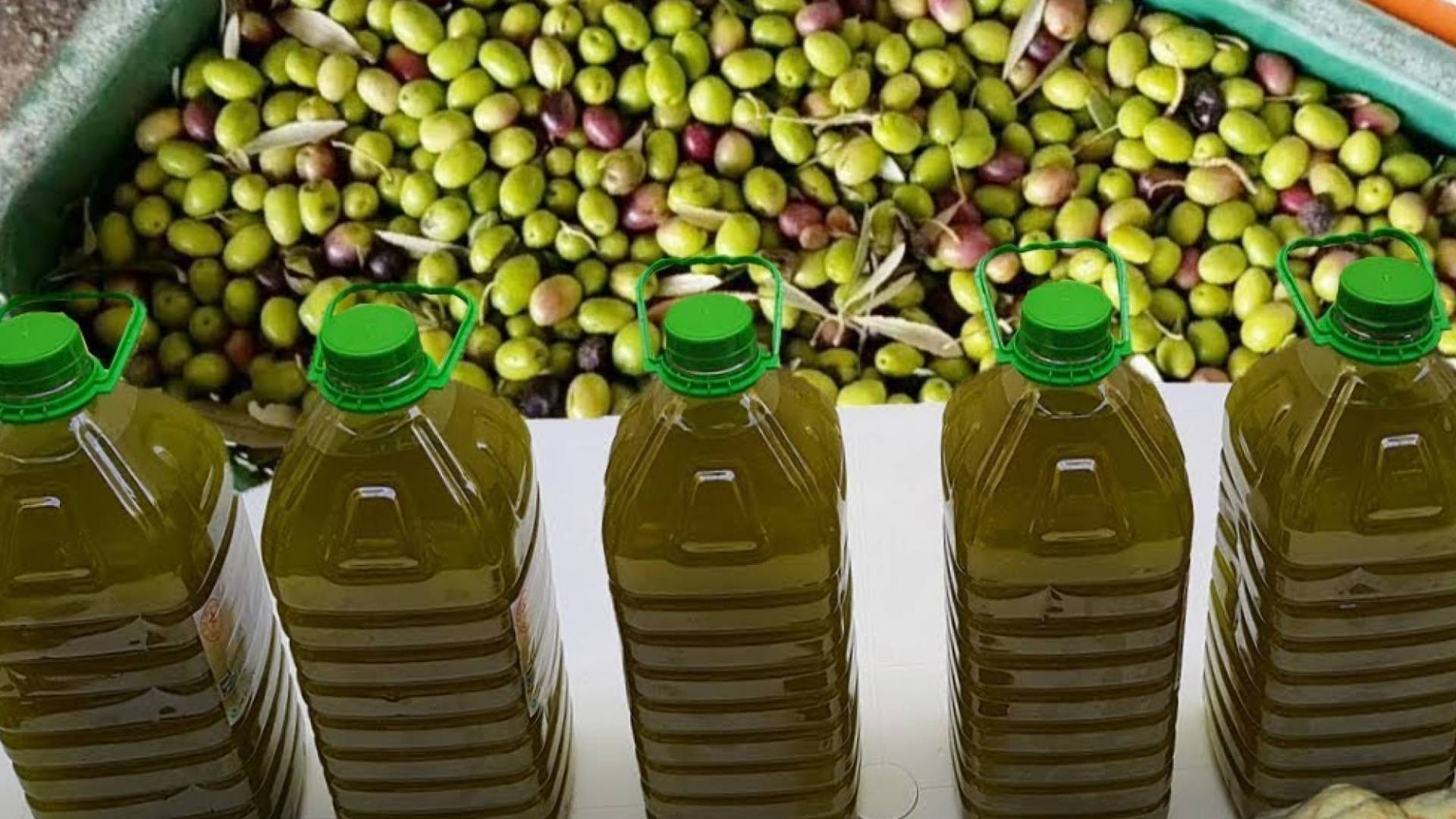 عبوات زيت الزيتون