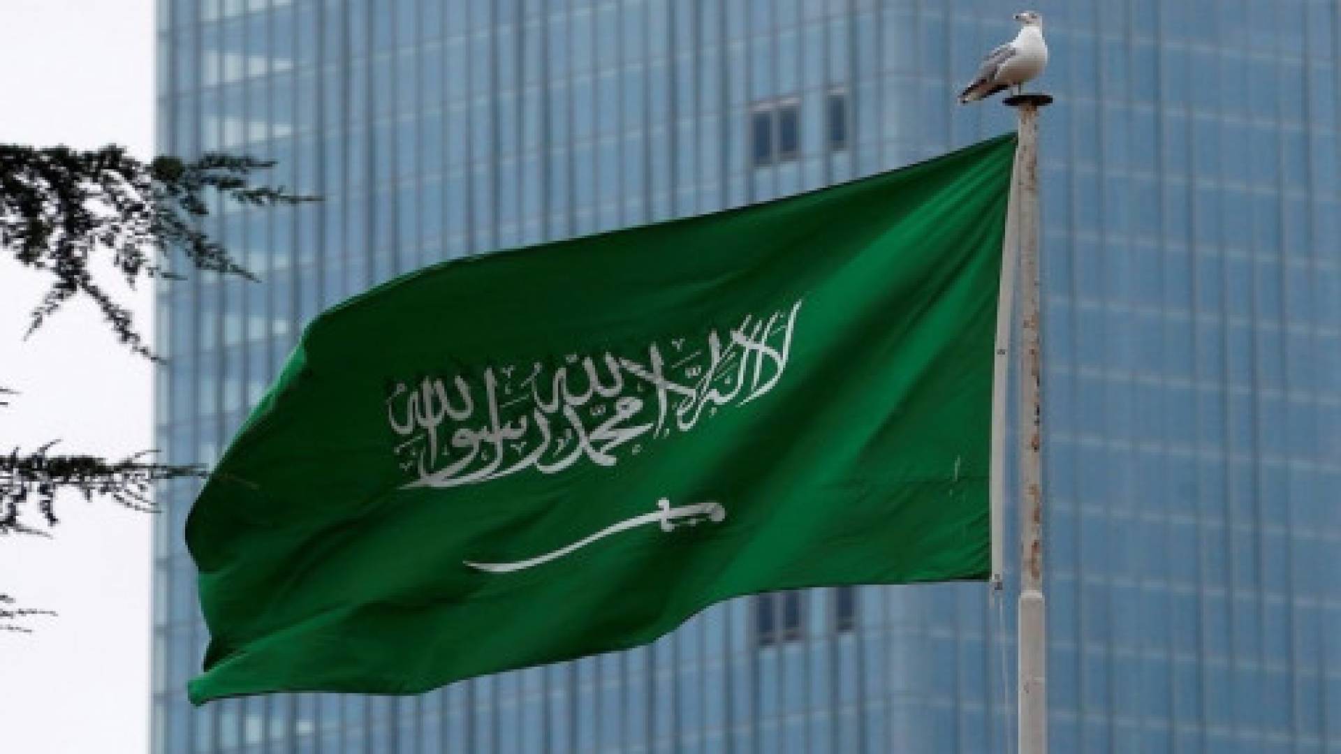 علم السعودية