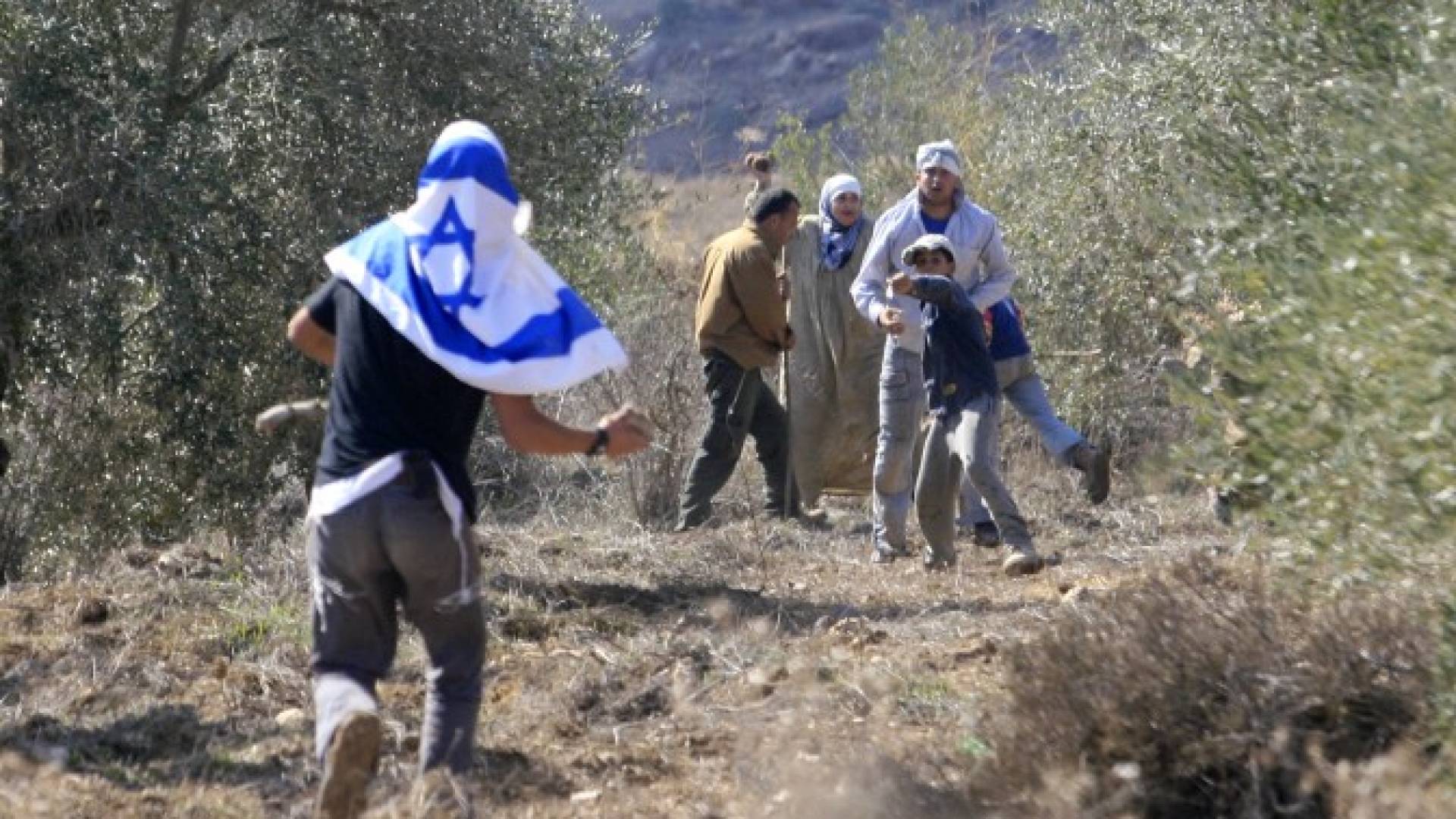 اعتداءات للمستوطنين على المزارعين في الضفة الغربية