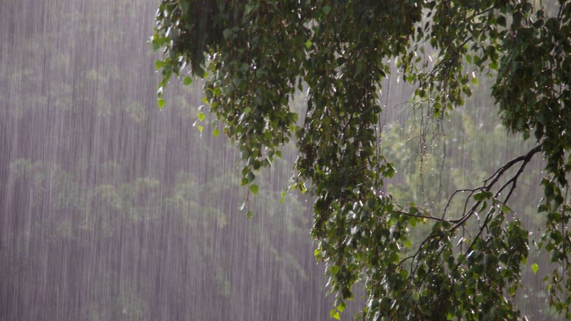 الأمطار في الأردن -ارشيفية