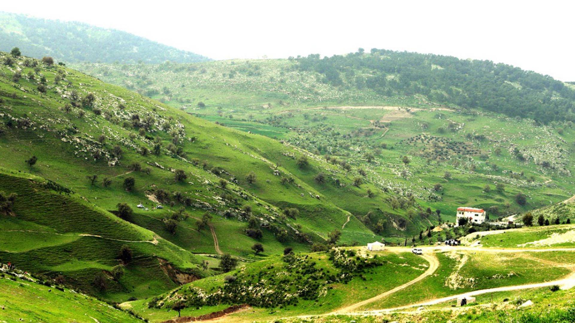 الربيع في الأردن