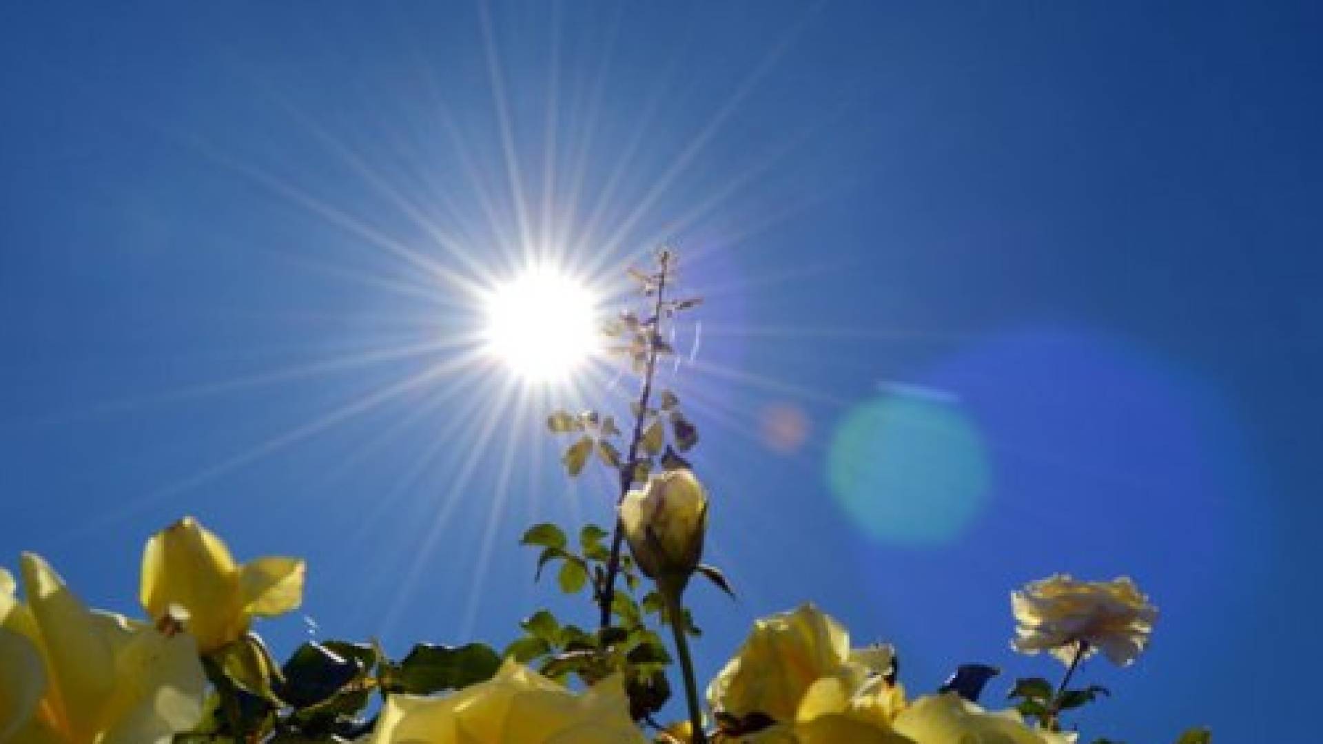 صور الخرائط الجوية / واجواء شمسة