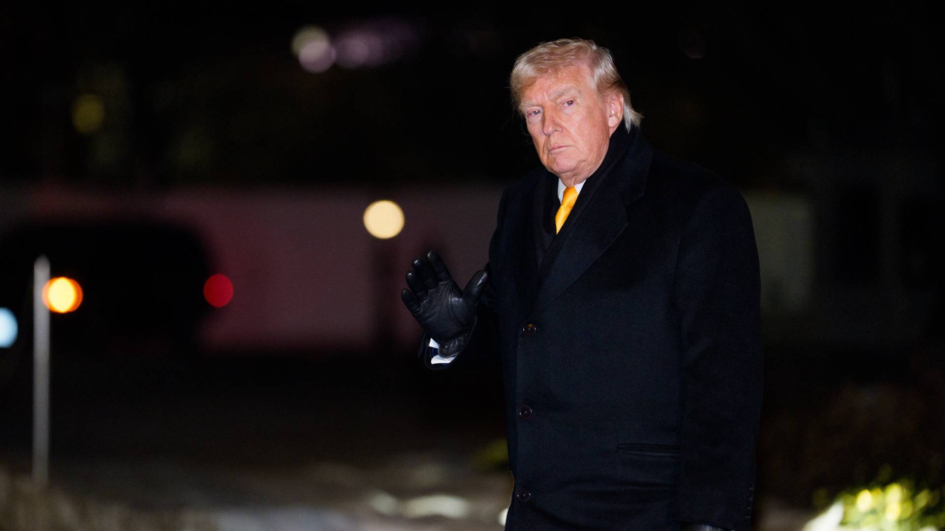 دونالد ترمب.. ارشيفية