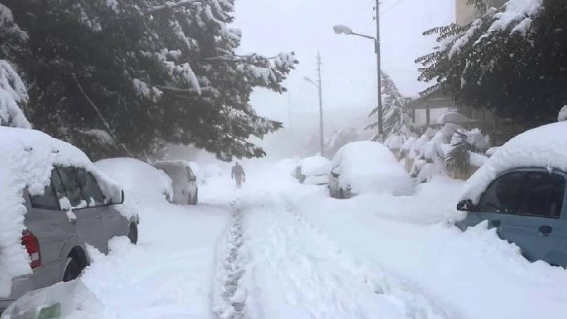 عاصفة قطبية