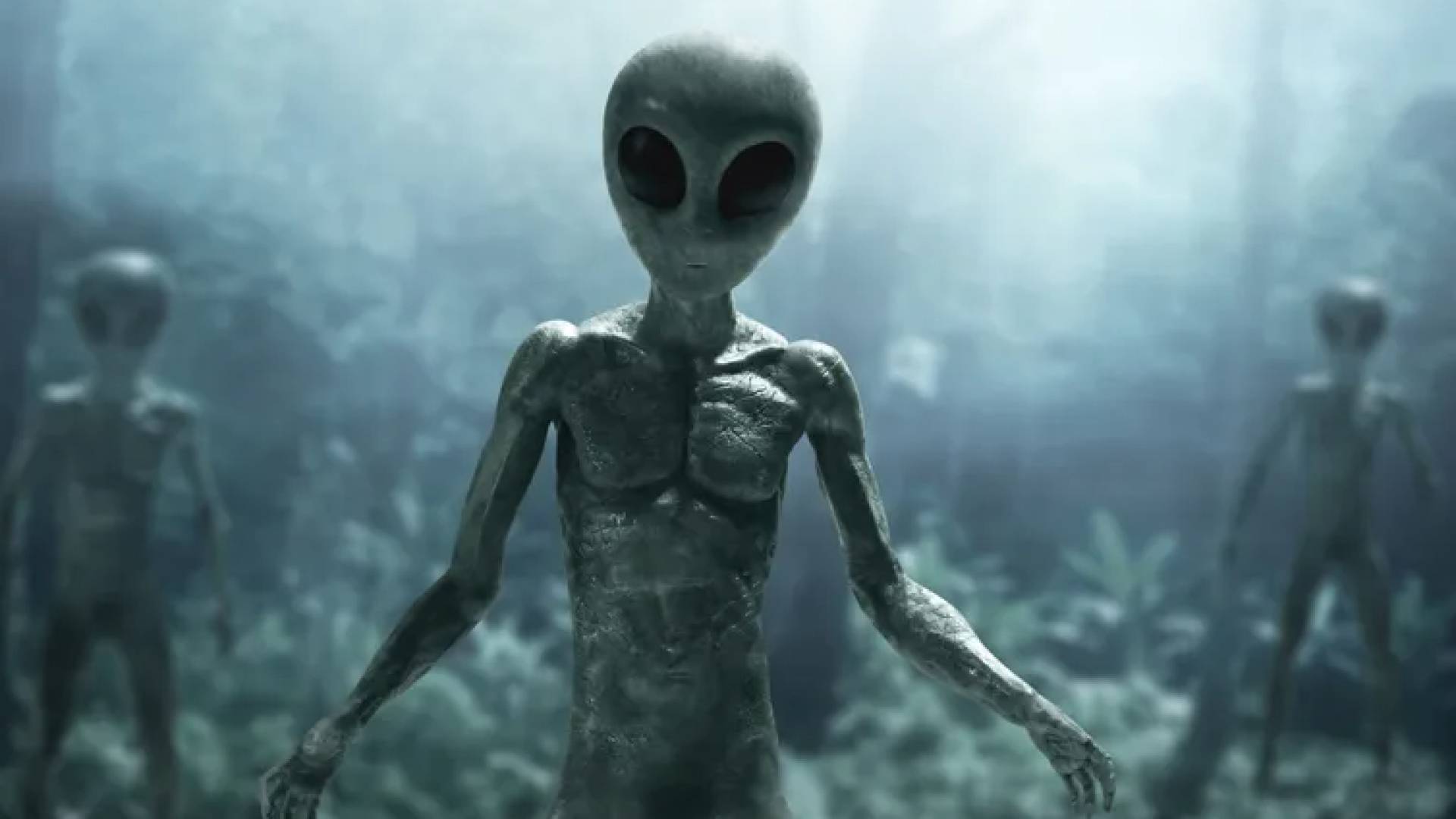 كائنات فضائية