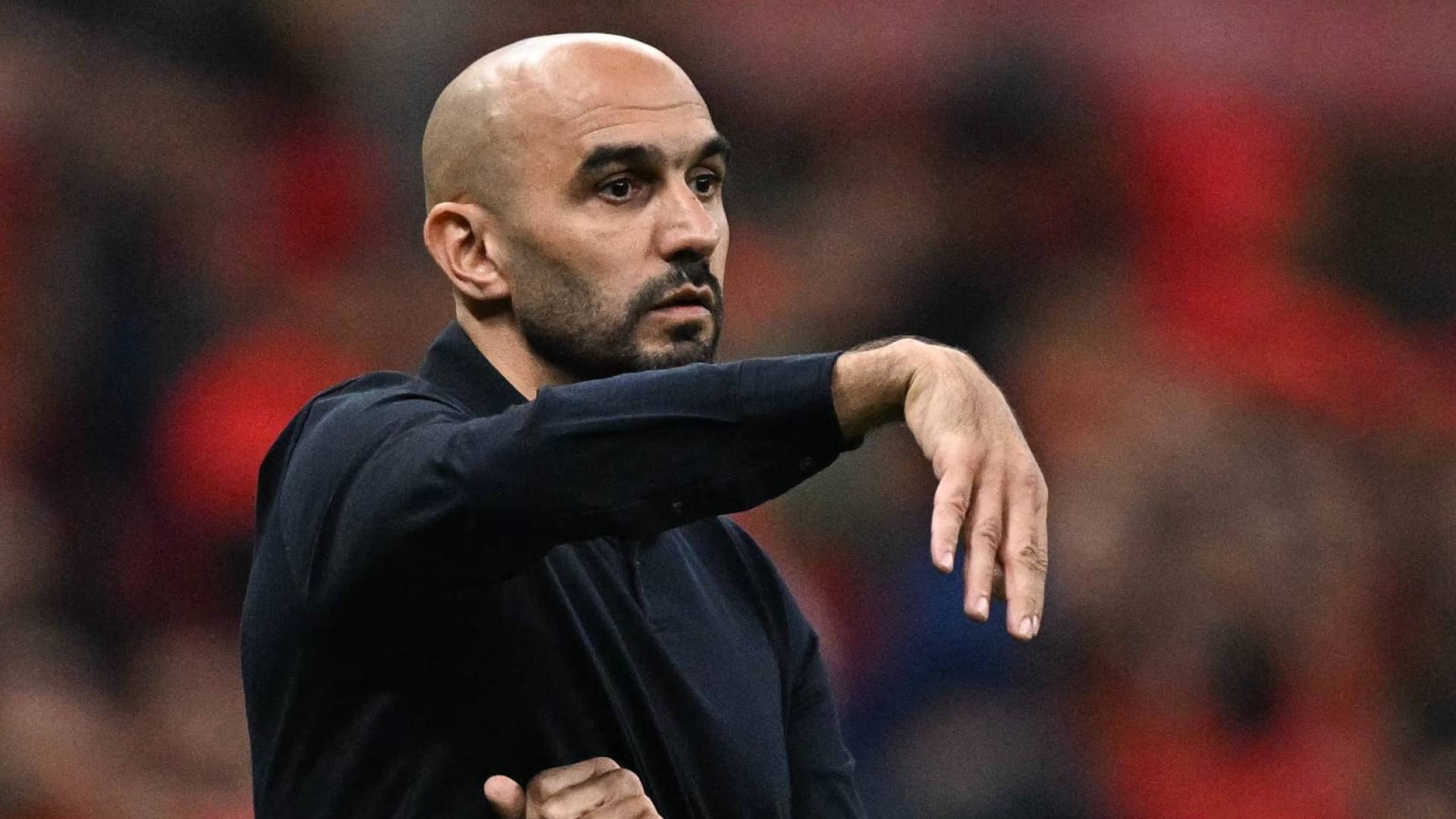 وليد الركراكي