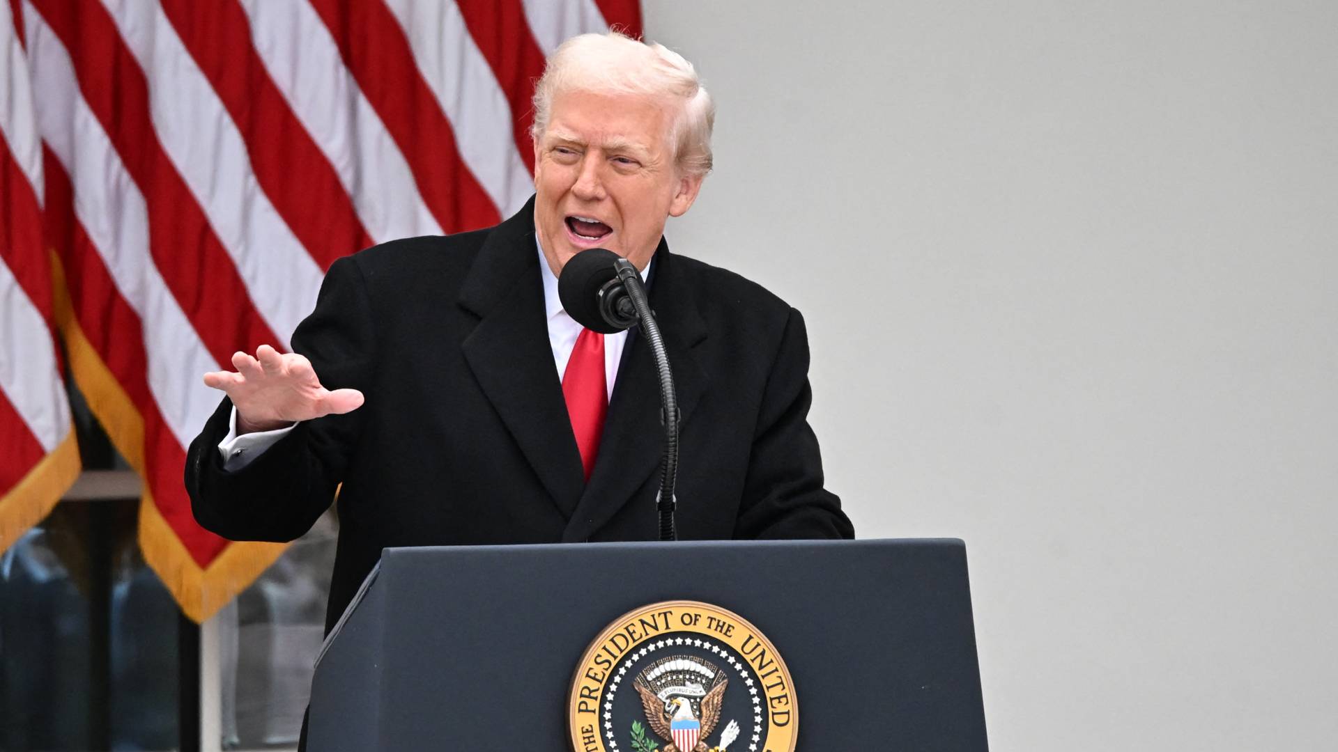 دونالد ترمب.. ارشيفية