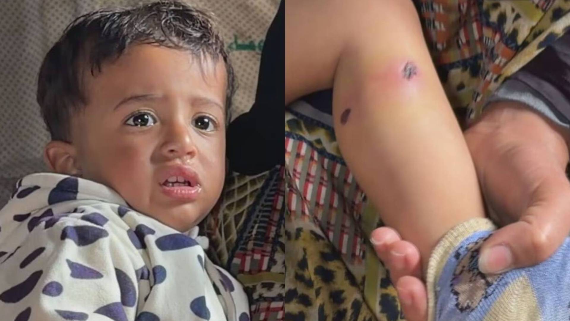 تعذيب طفل فلسطيني من قبل الاحتلال