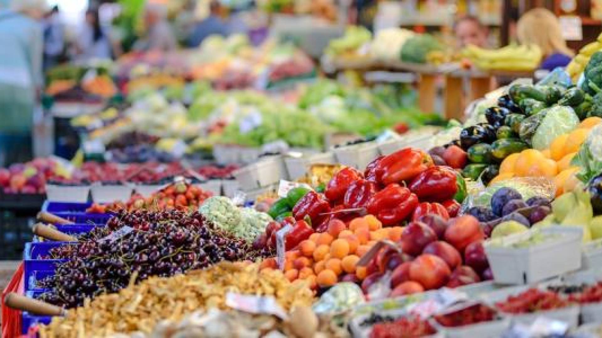 النائب "المعادات" يدعو الحكومة لضبط الأسواق ومحاسبة المتلاعبين بالأسعار