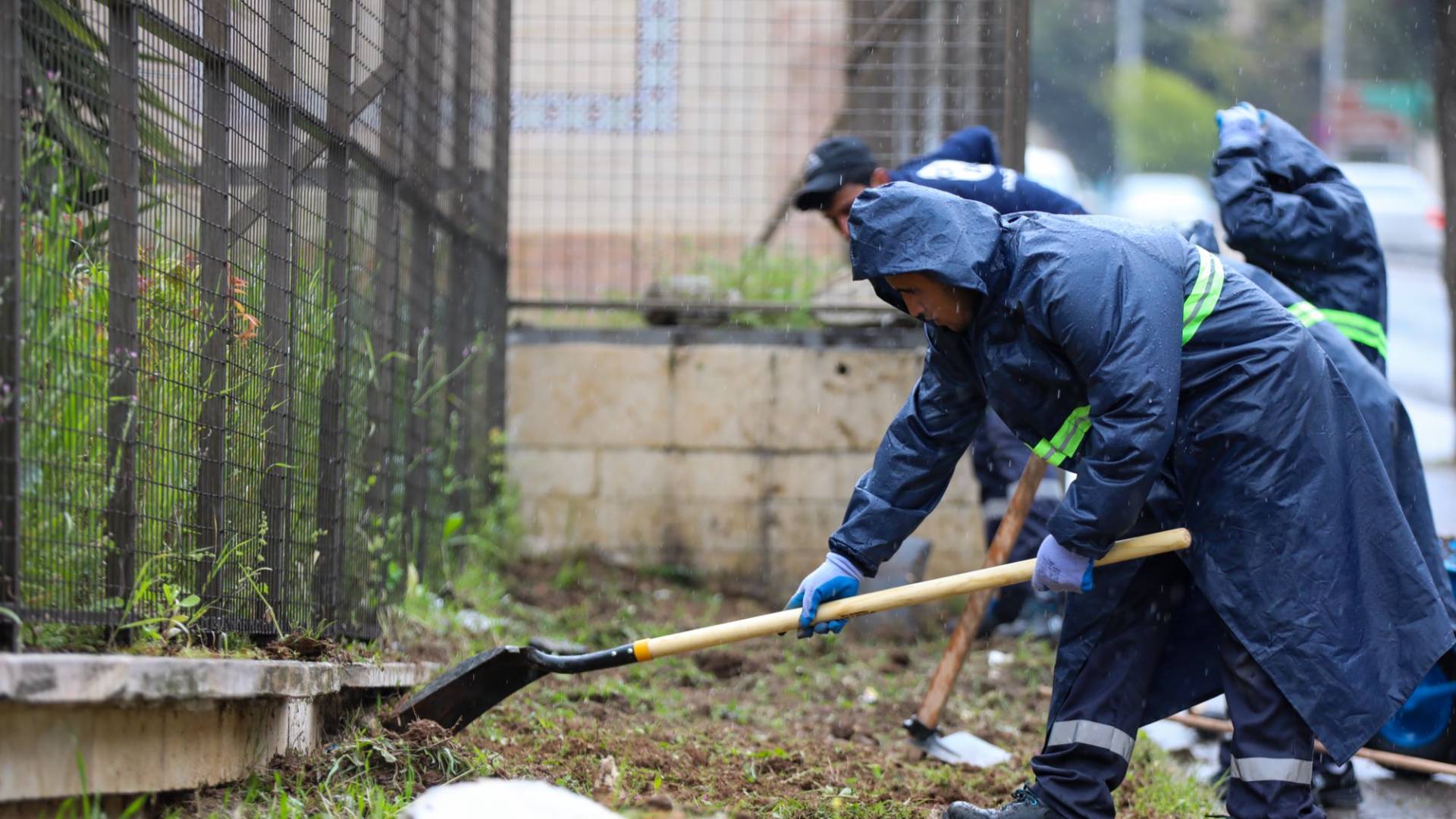 كوادر أمانة عمان