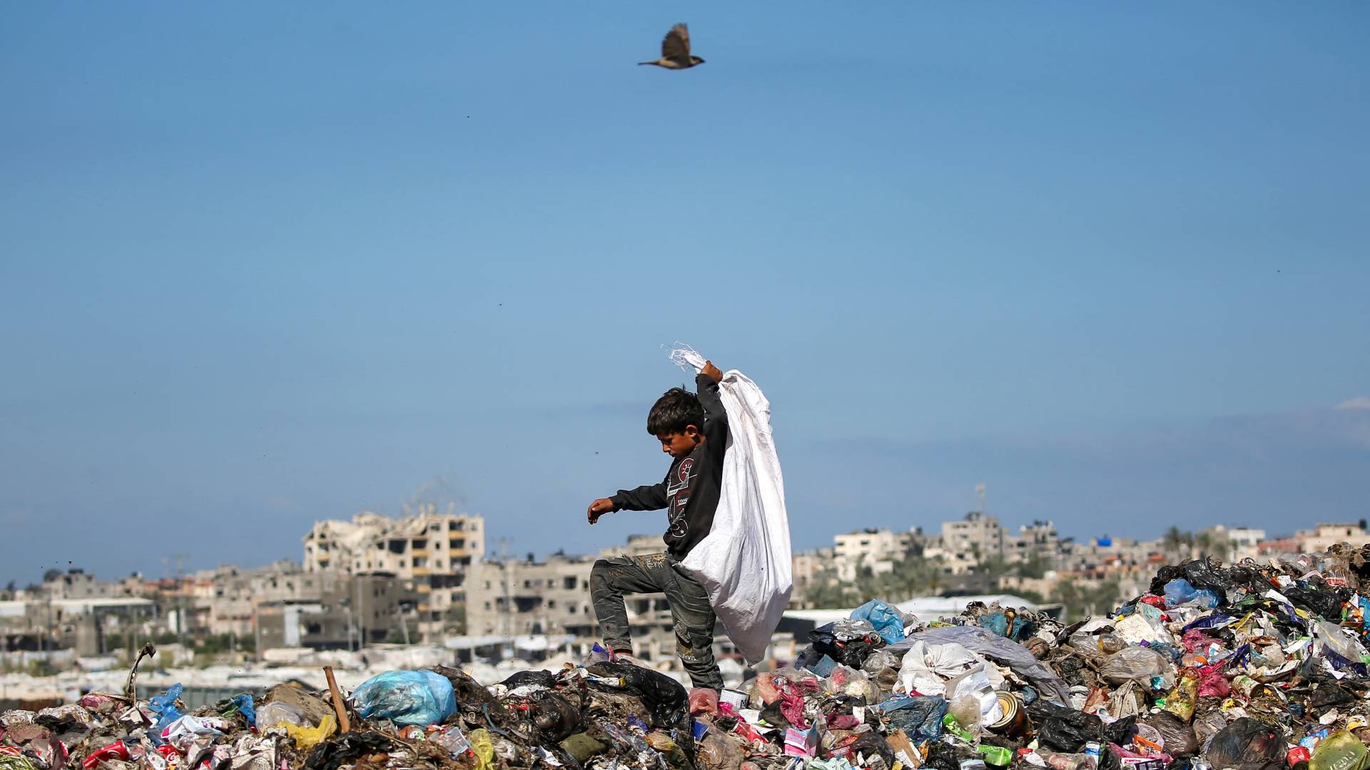 طفل من قطاع غزة