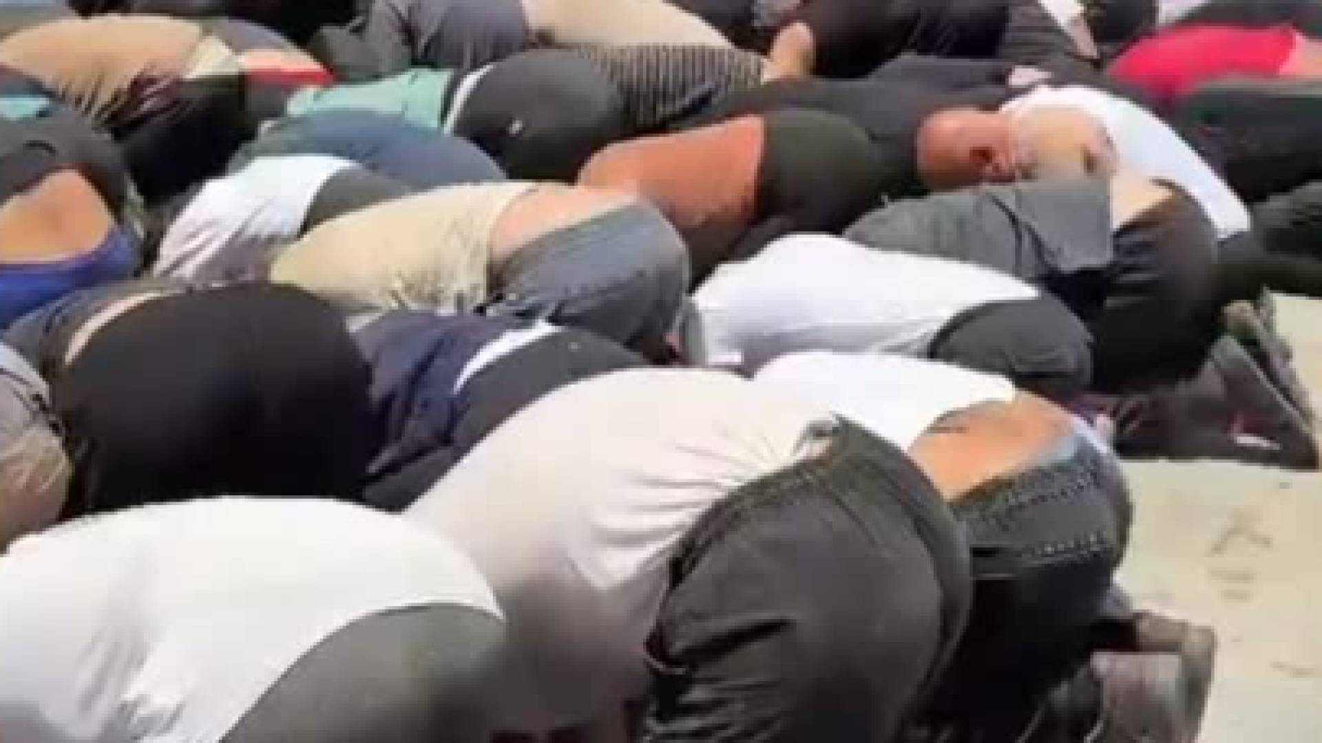 ناشطي "أسطول الصمود" في ميناء أسدود