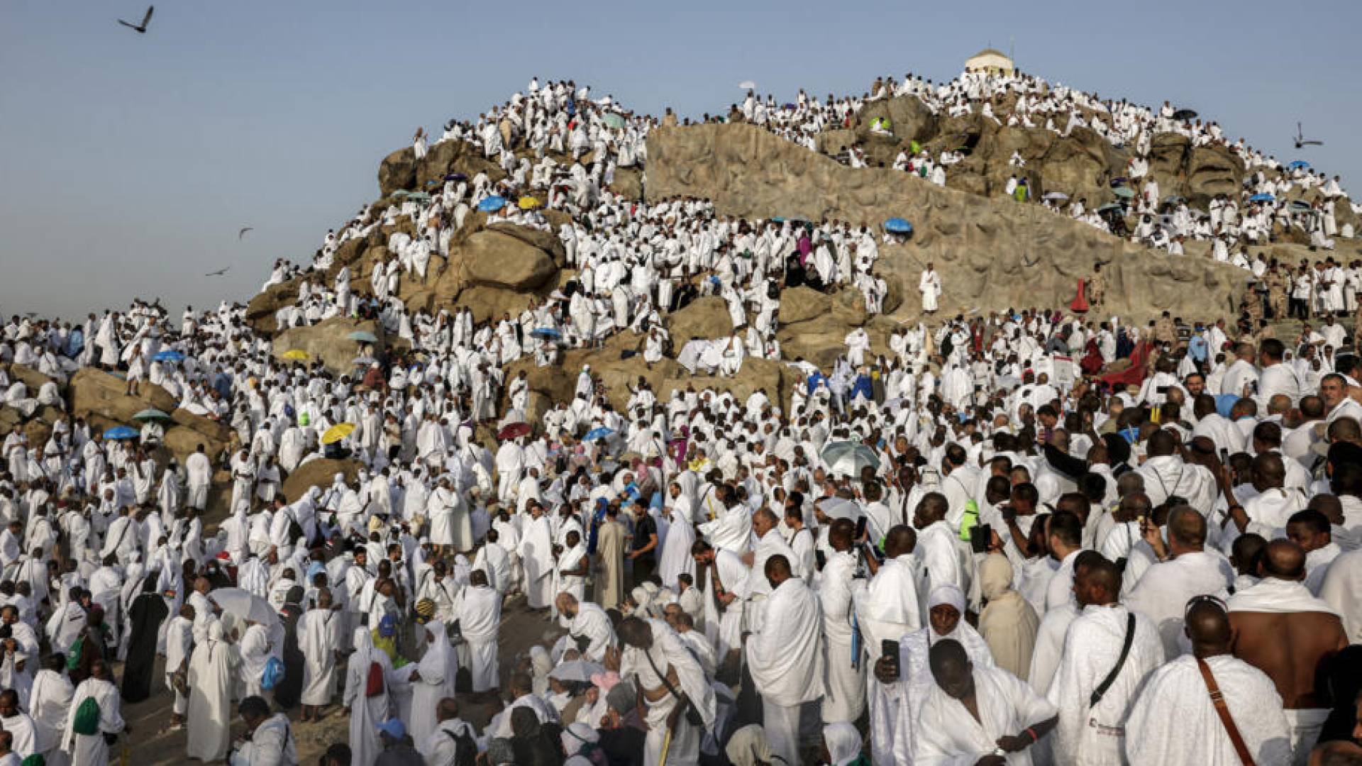 توافد الحجاج على جبل عرفات