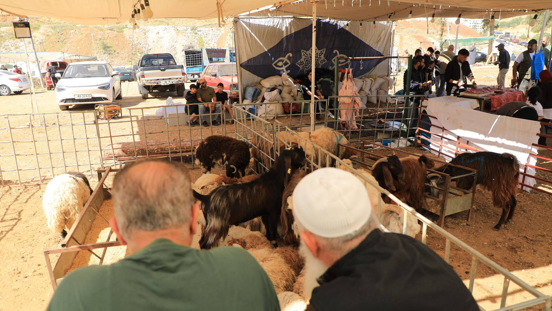الأضاحي بالعيد