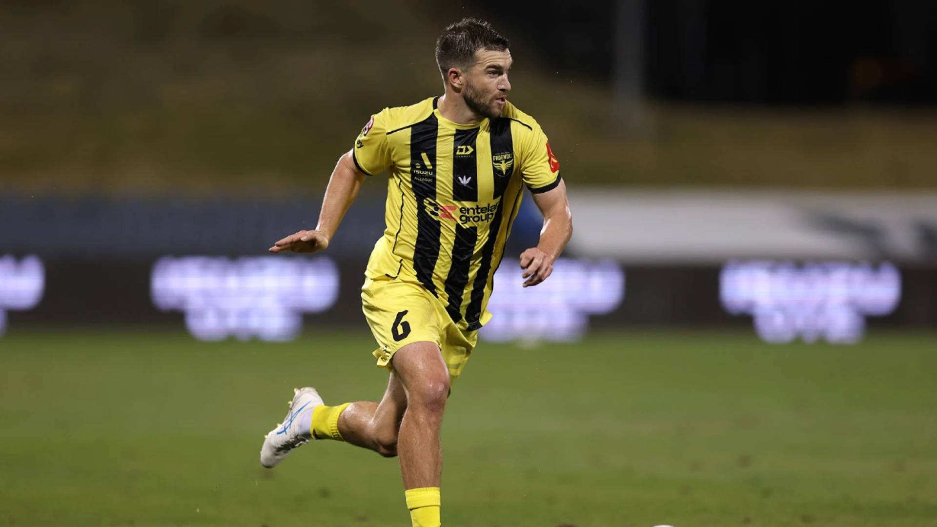 تيم باين لاعب نيوزيلندا