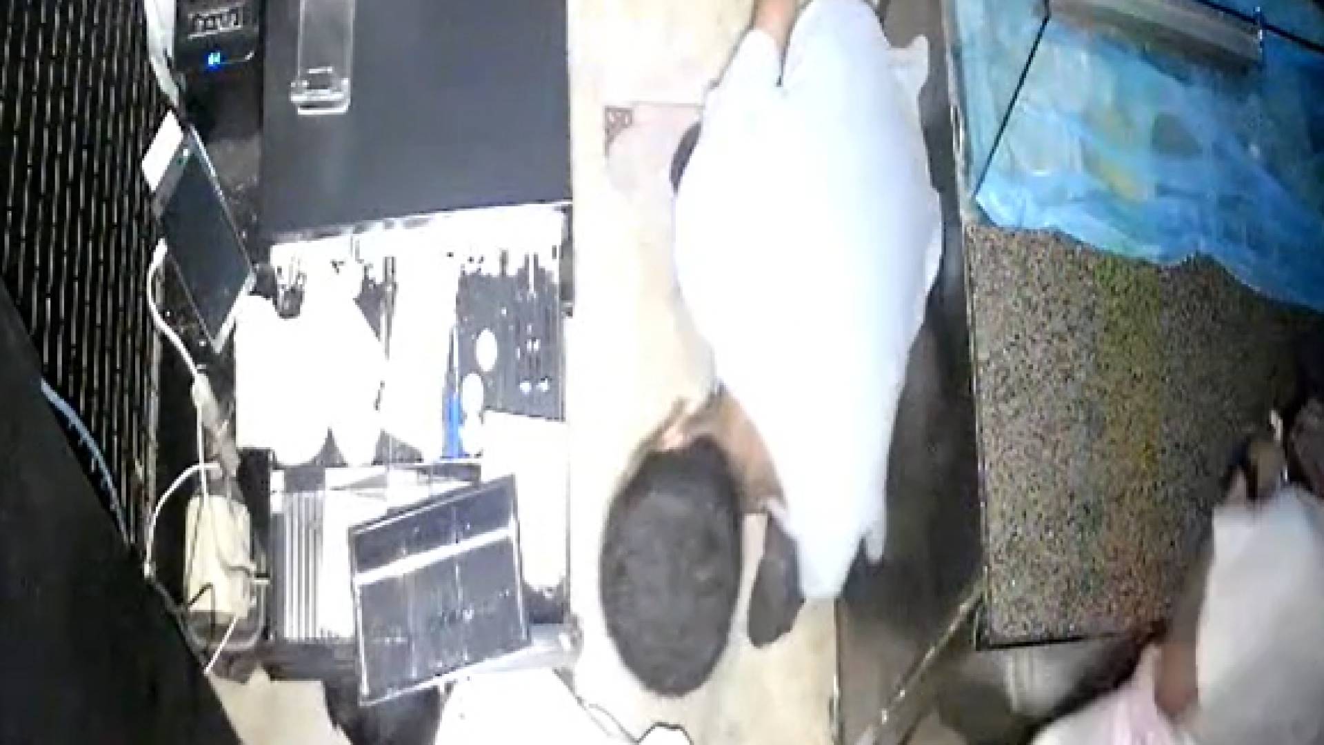 سرقة محل تجاري