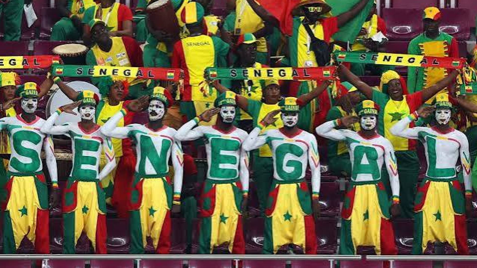 الجماهير السنغالية تدعم فريقها في المونديال الماضي بقطر