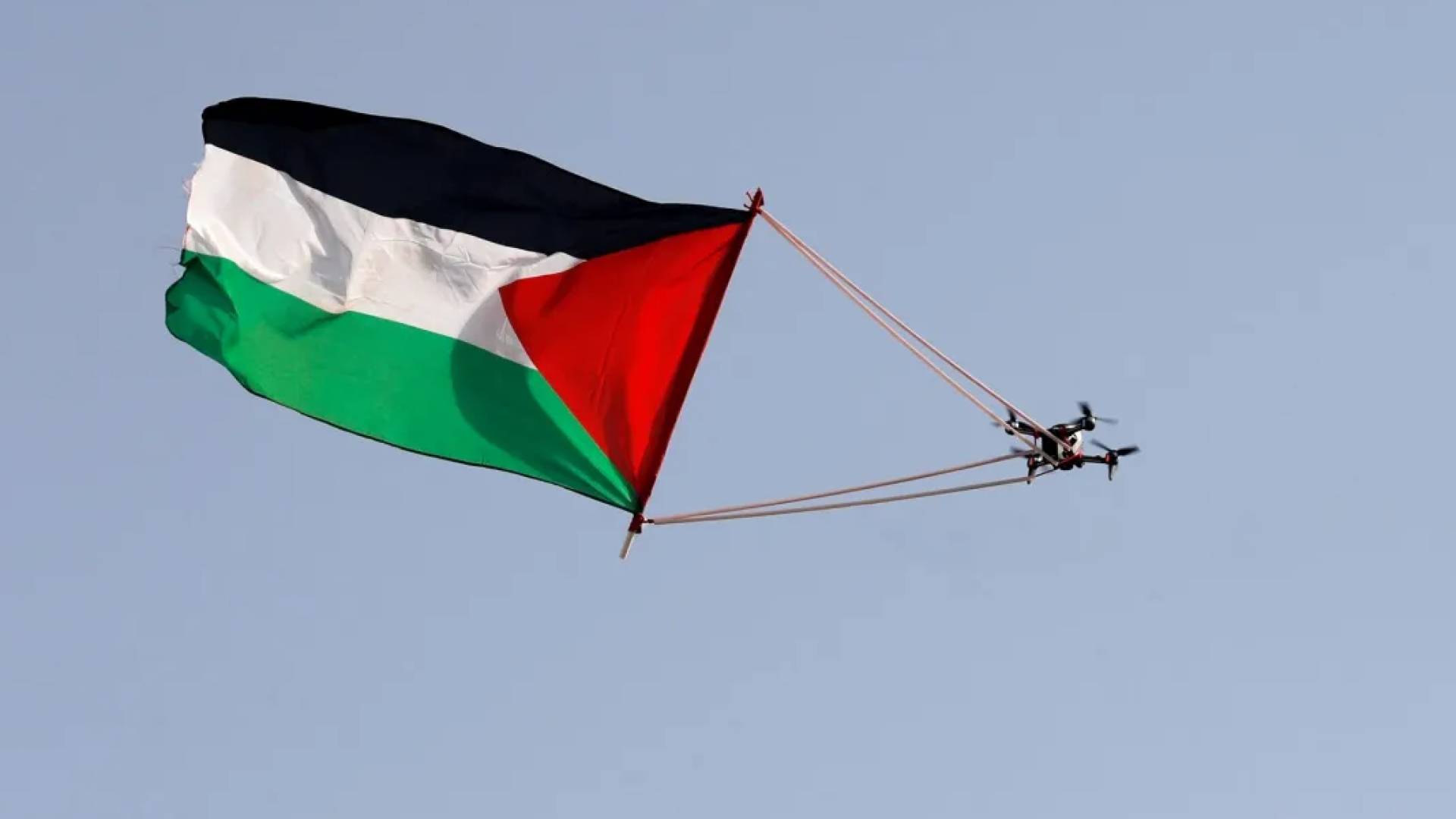 علم فلسطين