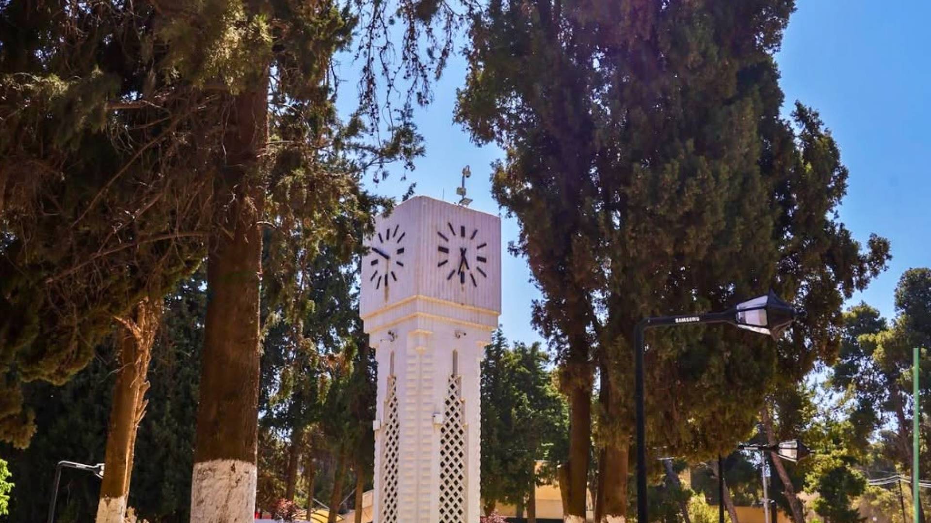 الجامعة الأردنية