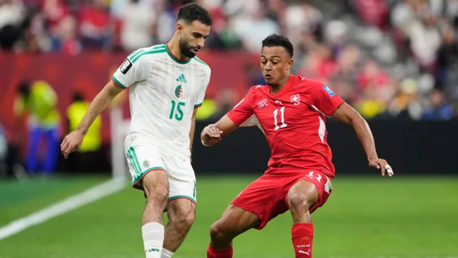 من مباراة الجزائر وسويسرا