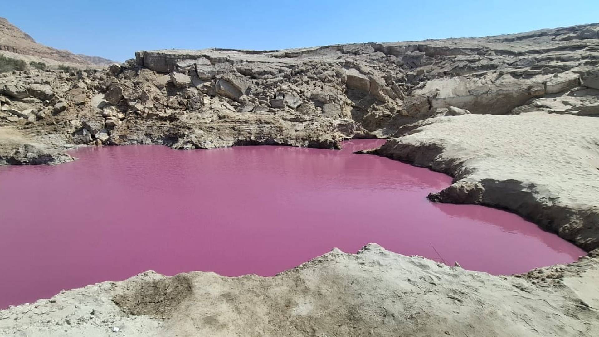 البركة الحمراء في البحر الميت