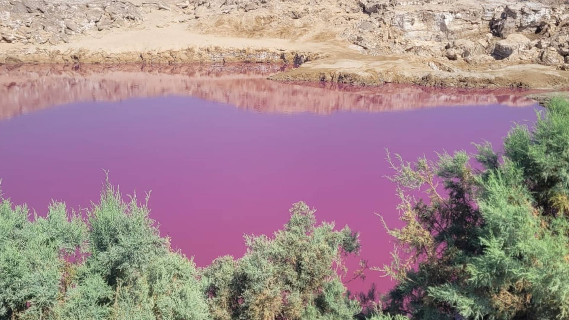 البركة الملونة بالبحر الميت