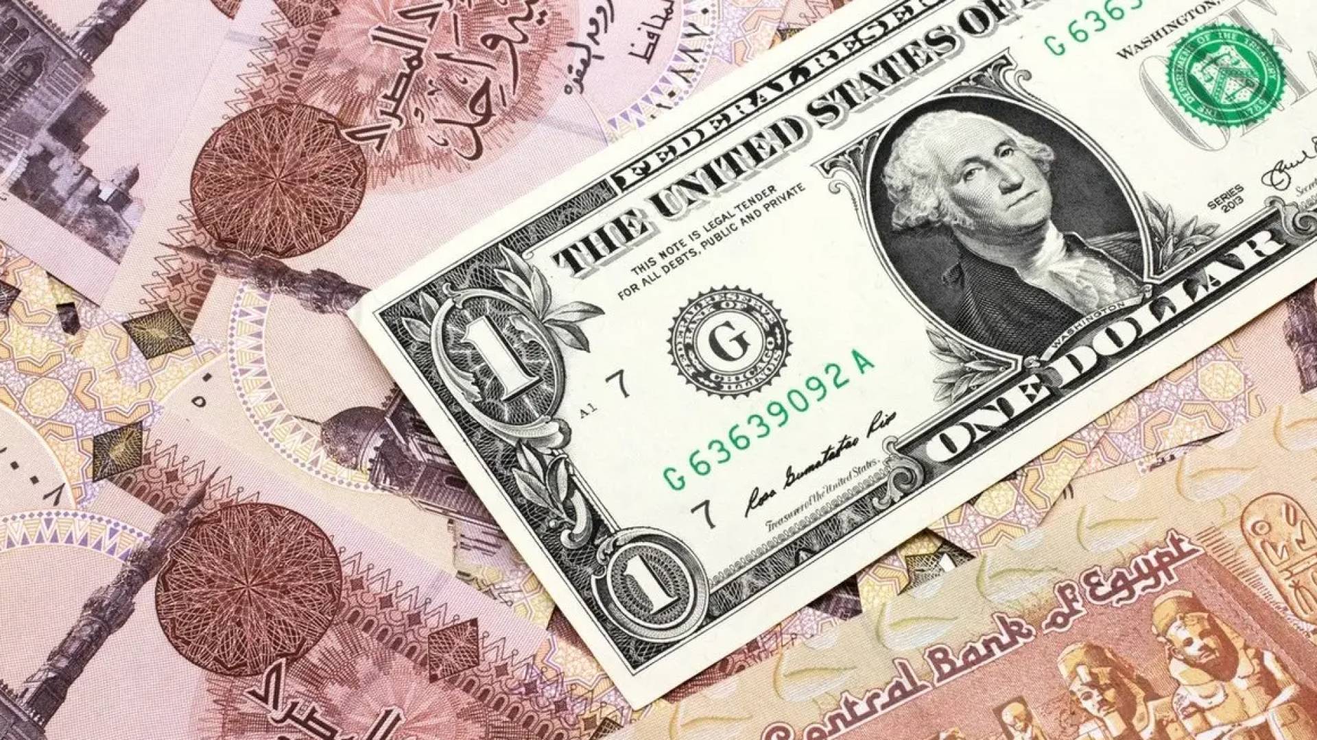 عملة الدولار و الجنية المصري