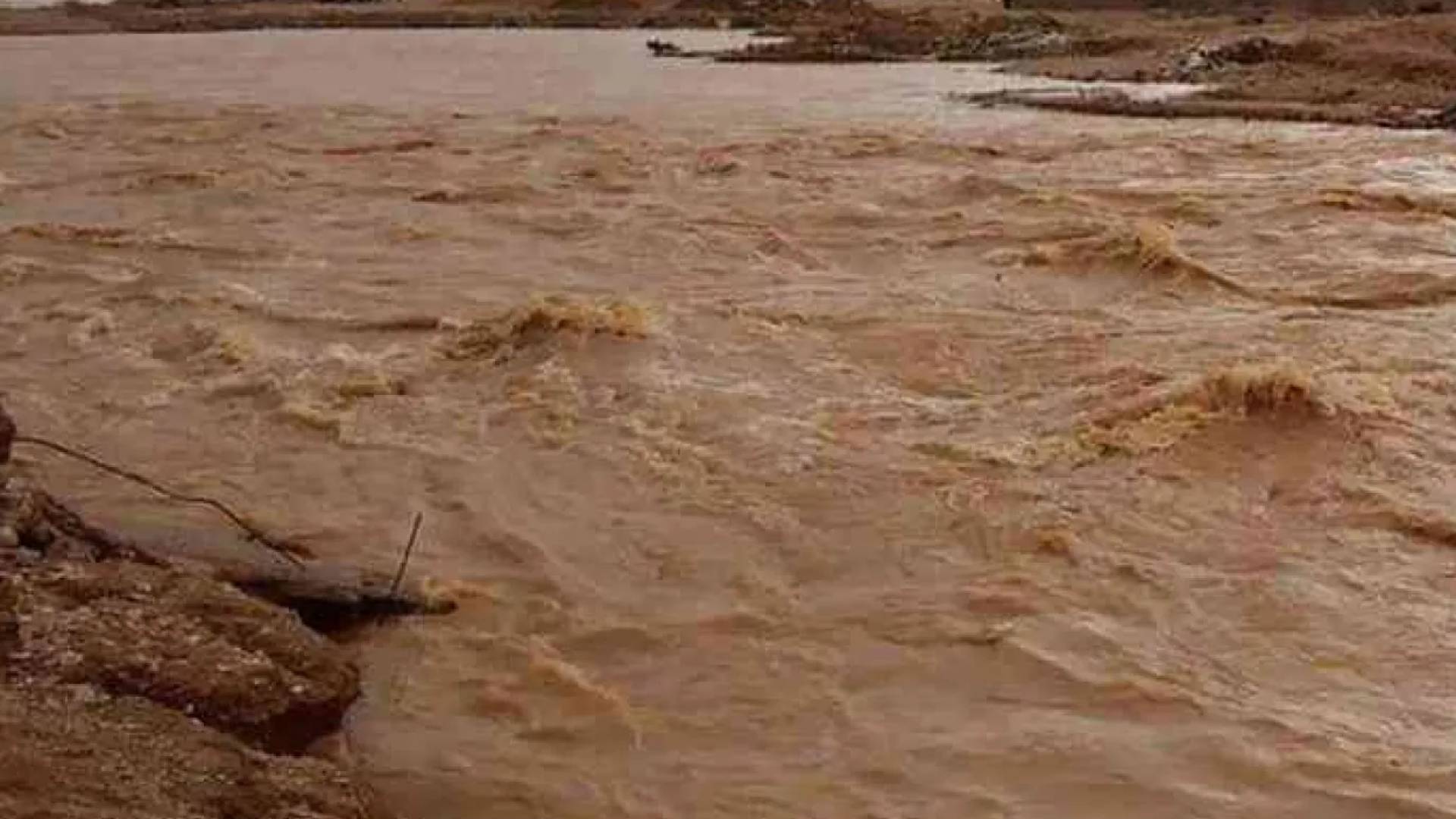 سيول - أرشيفية